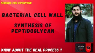 Biosynthesis of Peptidoglycan  Detailed amp Conceptional Explanation  Clear Images [upl. by Thirza529]