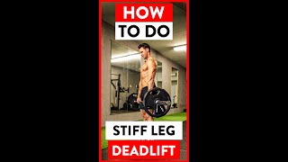 💪 How to Do Stiff Leg Deadlift  Barbell Stiff Leg Deadlift Exercise by Joey Thurman  Openfit [upl. by Elimay43]