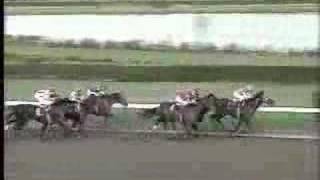 1992 Breeders Cup Classic [upl. by Nnayecats]