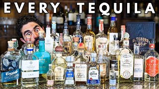 I Drank 30 Tequilas and Ranked Them ALL [upl. by Nnoj668]