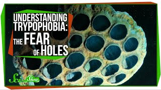 Understanding Trypophobia The Fear of Holes [upl. by Jeanne]