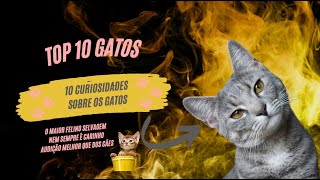 Top 10 curiosidades sobre gatos gateiros gateirosdobrasil gatinhosfofinhos gatinhofofo gatos [upl. by Aliuqehs206]