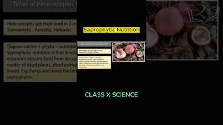 Class 10 Science I Life Processes I NUTRITION I Saprophytic Nutrition viral biology [upl. by Eyaf]