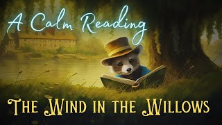 🦝 A Calm Reading of quotThe Wind in the Willowsquot  Full Audiobook for Sleep 😴 [upl. by Akir422]