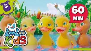 Five Little Ducks  S2EP15 Musical Adventure Collection  LooLoo Kids Songs for Kids [upl. by Yetti]