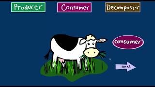 Producers Consumers Decomposers  Science Game  Sheppard Software [upl. by Jacobine]