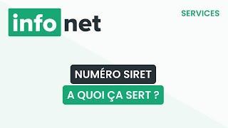 Pourquoi avoir un numéro SIRET  définition aide lexique tuto explication [upl. by Neidhardt]