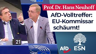 „Sie sind Europas Totengräber“ – Prof Dr Hans Neuhoff AfD [upl. by Giraud320]