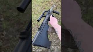 Steyr AUG with StG 77 Scope [upl. by Robinson]