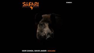 Igor Zanga  Bocare Original Mix SAFARI GROOVE MUSIC [upl. by Neehar]