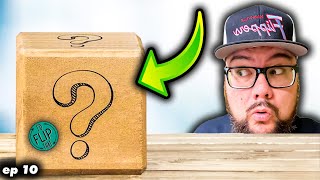 What’s in this Mystery Box  Whatnot setup [upl. by Stucker]