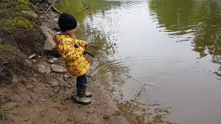 Graysons very first fish Kennebecasis river 2018 A big fat Perch [upl. by Batha]