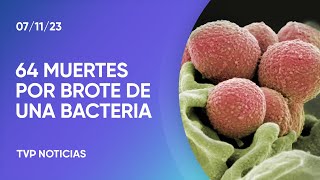 Alerta por una súper bacteria que ya causó 64 muertes en la Argentina [upl. by Bouzoun]