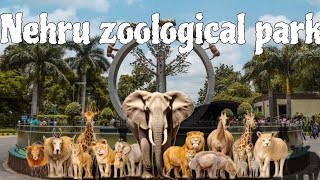 Nehru zoological park hyderabad  complete tour with HD video  lion safari  nehru zoo park [upl. by Nosro242]