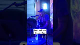 CeeLo Green  Forget You acousticcover ustic [upl. by Irap234]