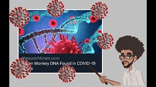 Is there DNA contamination in COVID vaccines No [upl. by Leonanie]