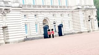 Buckingham Palace changing the guard shortvideo travel explore europe fyp viralshorts fy [upl. by Gawen]