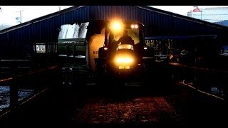 Busy Farm  Feeding the Cattle Pumping Sawdust Bedding [upl. by Zorina]