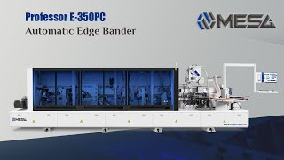 PROFESSOR E350PC Automatic Edge Bander [upl. by Hilaria]