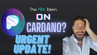 Paribus Update⚡️Is PBX Bridging to Cardano [upl. by Atteinotna]