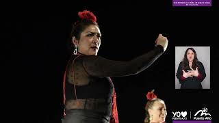 Noche Flamenca 2024 [upl. by Ahsekram]