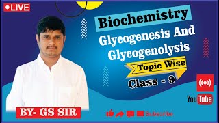 Reaction of Glycogenesis  Glycogenolysis Pathway  Reaction of Glycogenolysis  By GS Sir [upl. by Tallou]