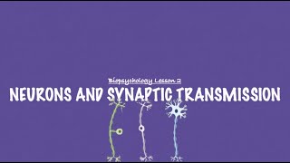 ALevel Psychology AQA Neurons and Synaptic Transmission UPDATE [upl. by Lachus]