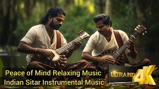 Indian Sitar Instrumental Music  A sweet tune for peace of mind  Relaxing Music for Stress Relief [upl. by Tessie]