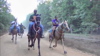 2024 Pretty Five Mares Gaited Horse Trail Ride part 3 in Ashdown Arkansas [upl. by Atikehs602]