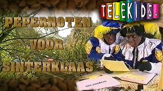 PEPERNOTEN VOOR SINTERKLAAS 1995 • TELEKIDS • TVFILM [upl. by Jayme951]