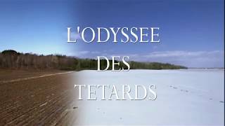 LODYSSEE DES TETARDS [upl. by Barbe397]