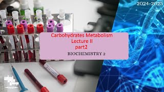 Carbohydrate Metabolism Glycogen Metabolism ampHMP shunt Biochemistry 2 lec2 part 2 [upl. by Jaymie]