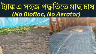 ট্যাংকে সহজ পদ্ধতিতে মাছ চাষ । Easy Method of Fish Farming in Tank [upl. by Ayotan934]