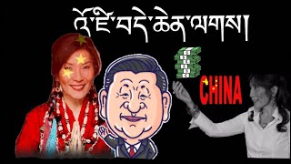 བདེ་ཆེན་བདག་སྲས་སྐྱག་རྫུན་མ་བཤད།  What the hell Dechen Shak Dagsay   སེམས་ཀྱི་འཚོར་གཏམ། [upl. by Onaled]