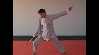 LongQuan Kung Fu Wushu Shuang Jie Gun Nunchakus Form  Slow Version by Sifu Claudius Chen [upl. by Tsepmet]