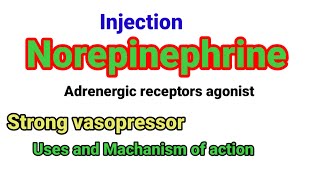 Norepinephrine uses and Machanism of action anaesthesiawithbabar2576 [upl. by Wooster]