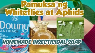 Mabisang pamuksa ng Whiteflies at AphidsHomemade Insecticidal Soap [upl. by Morie87]