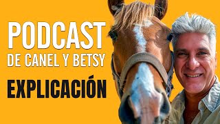 DÍAZ CANEL PODCAST  Te lo traduzco para que lo entiendas [upl. by Rabbaj]