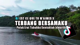 DJ EST CE QUE TU M’AIMES X TERBANG BERSAMAKU Peluk Erat Tubuhku Sentuhlah Jemariku [upl. by Mcgrath533]