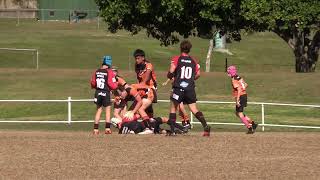 Mudgeeraba Redbacks Vs Southport Tigers U14 Div 2 Round 13 [upl. by Humph677]