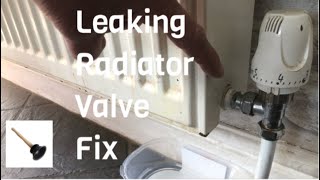 LEAKING RADIATOR VALVE FIX IT YOUR SELF EASY FIX THAT RADIATOR VALVE QUICK REPAIR THAT RADIATOR FAST [upl. by Aryahay]