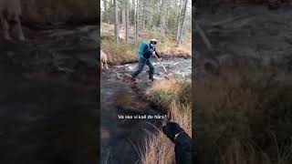 En av de videos som startade allt på tiktok Resten är historia 😄 norrbotten dialekt arjeplog [upl. by Soilisav235]