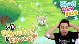 AGGRESSIVE SHINY RATTATA in POKÉMON LETS GO PIKACHU AND EEVEE [upl. by Alansen99]