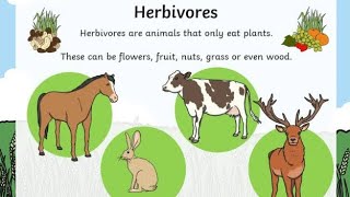 Herbivores Carnivores and Omnivores [upl. by Tamera]