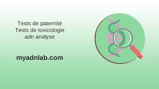 POLYMORPHISME biologie Polymorphisme génétique humain [upl. by Mayda]