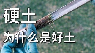 硬土黏土到底能不能种草  正确的改良土壤的方式  How to grow lawn on clay soils  KK和Kathy 的后花园 [upl. by Borroff]