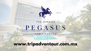 The Jamaica Pegasus Hotel Jamaica  TripAdventour [upl. by Weywadt]