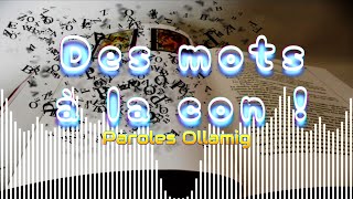 Des mots à la con – Une explosion de vocabulaire déjanté   Ollamig [upl. by Patty143]