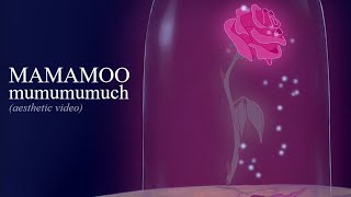 mamamoo  mumumumuch visual lyric video [upl. by Apilef]