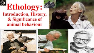 Ethology  Animal Behaviour  Introduction of Ethology History of Ethology Psychology and Ethology [upl. by Puttergill]